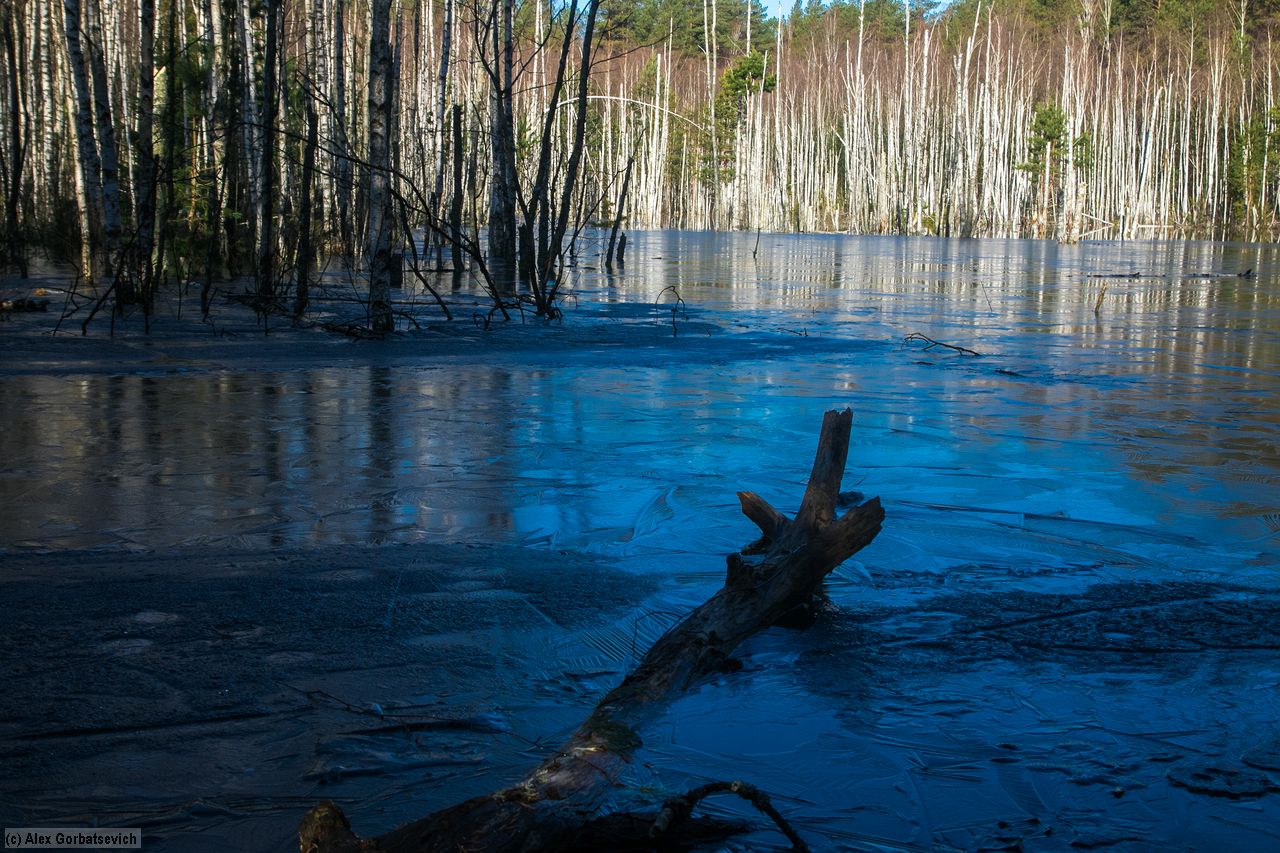 ���� ��� ������