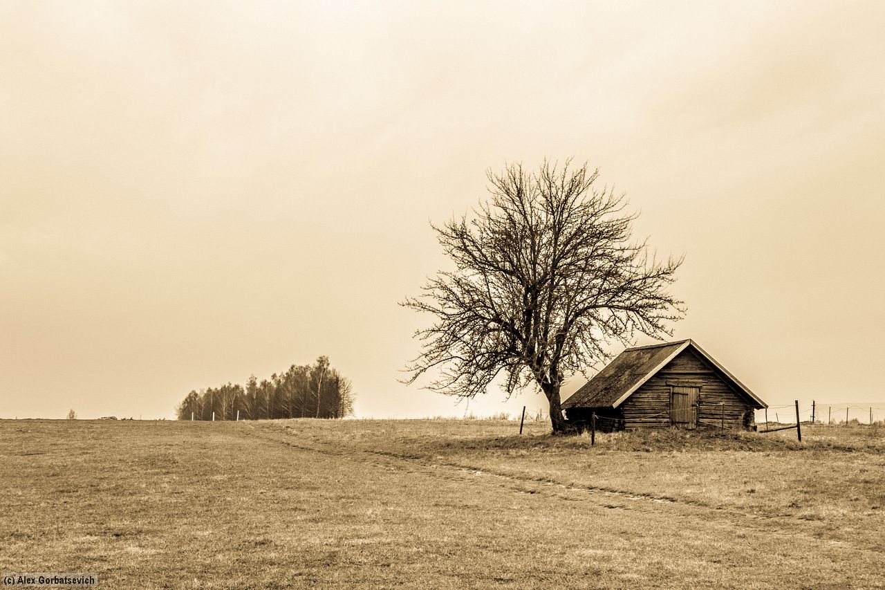 ��� �������