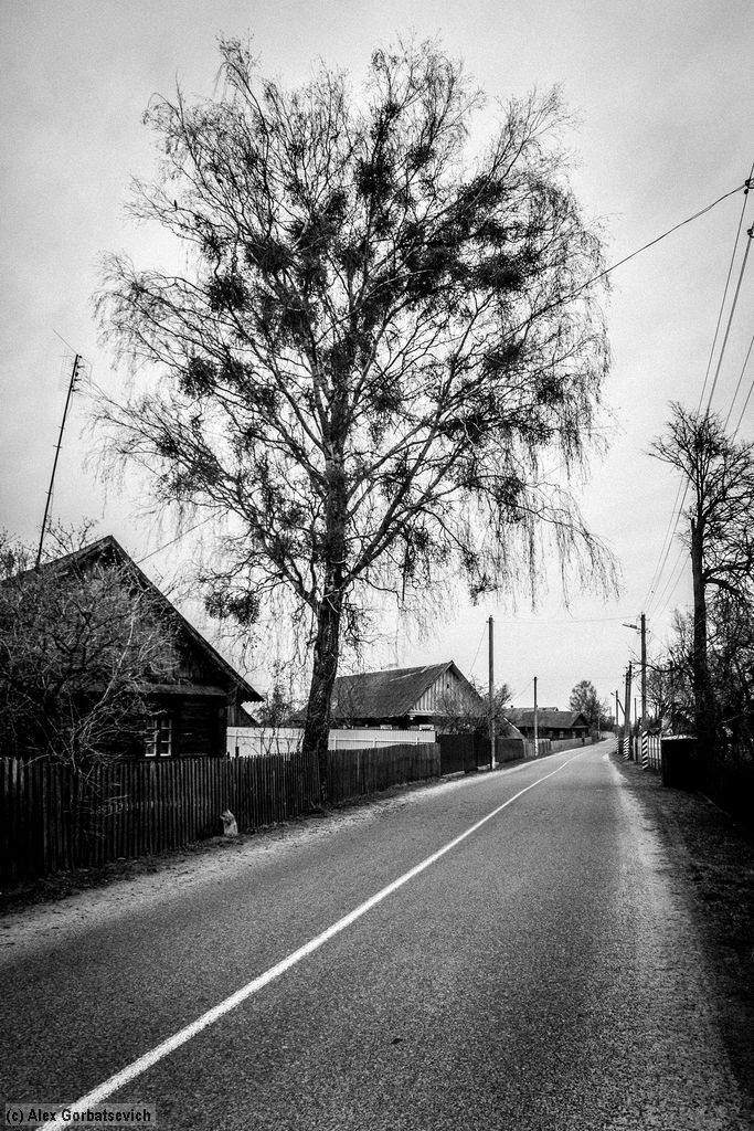 ����� �������