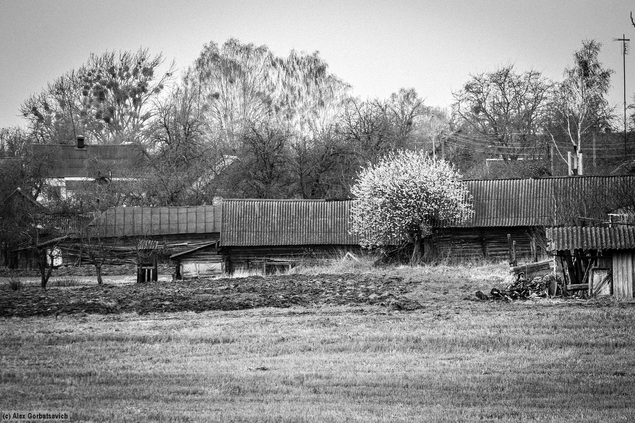 ����������� �������