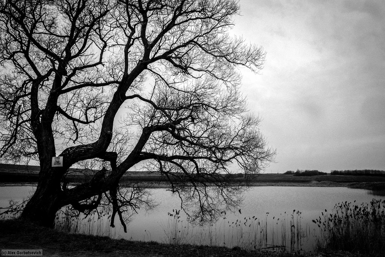 �������� ���������