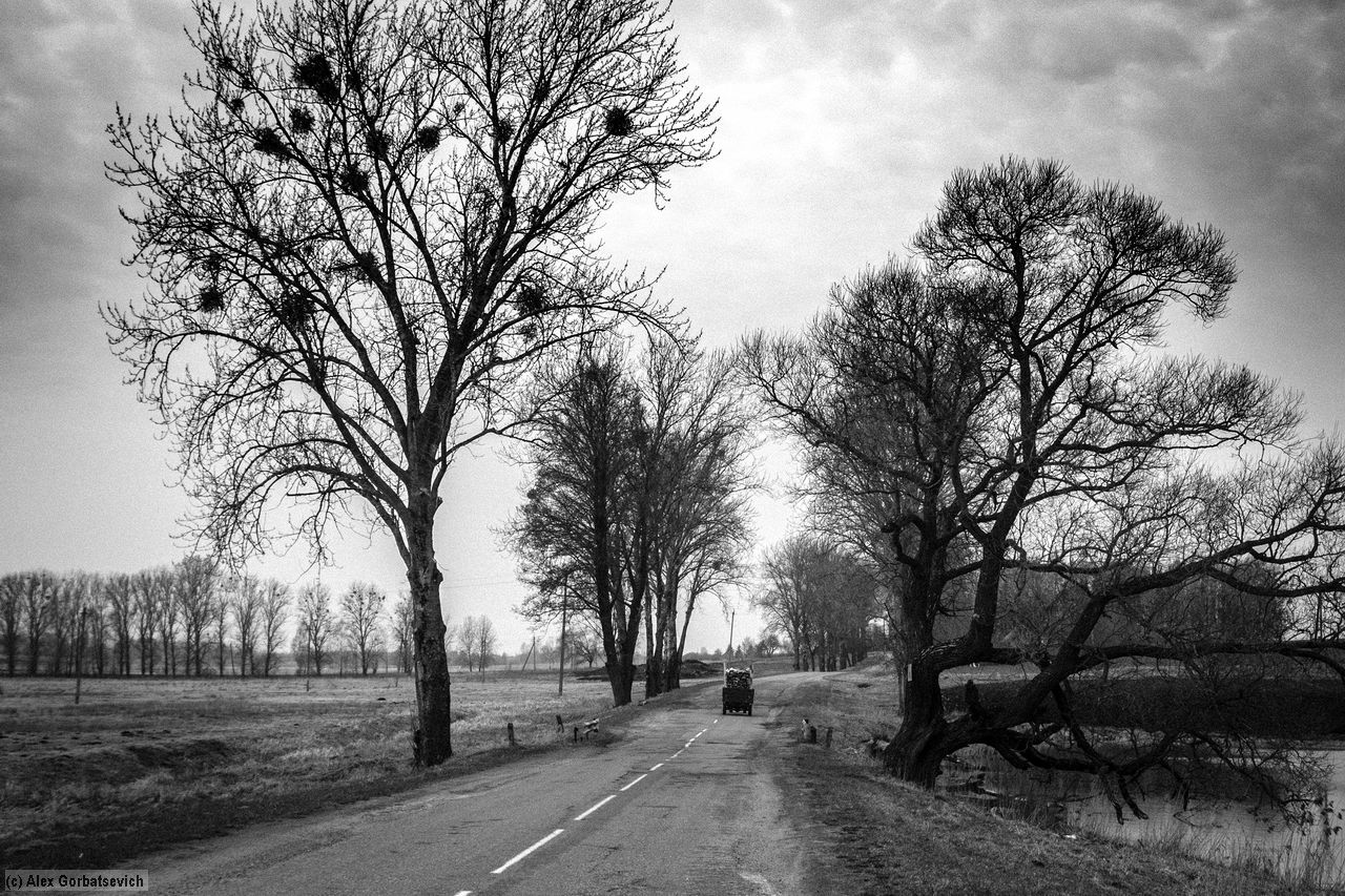 �� ������