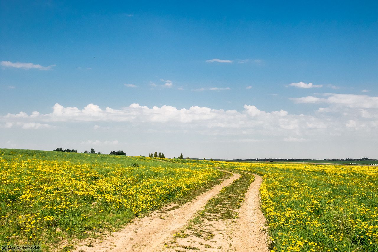 ����� ����������