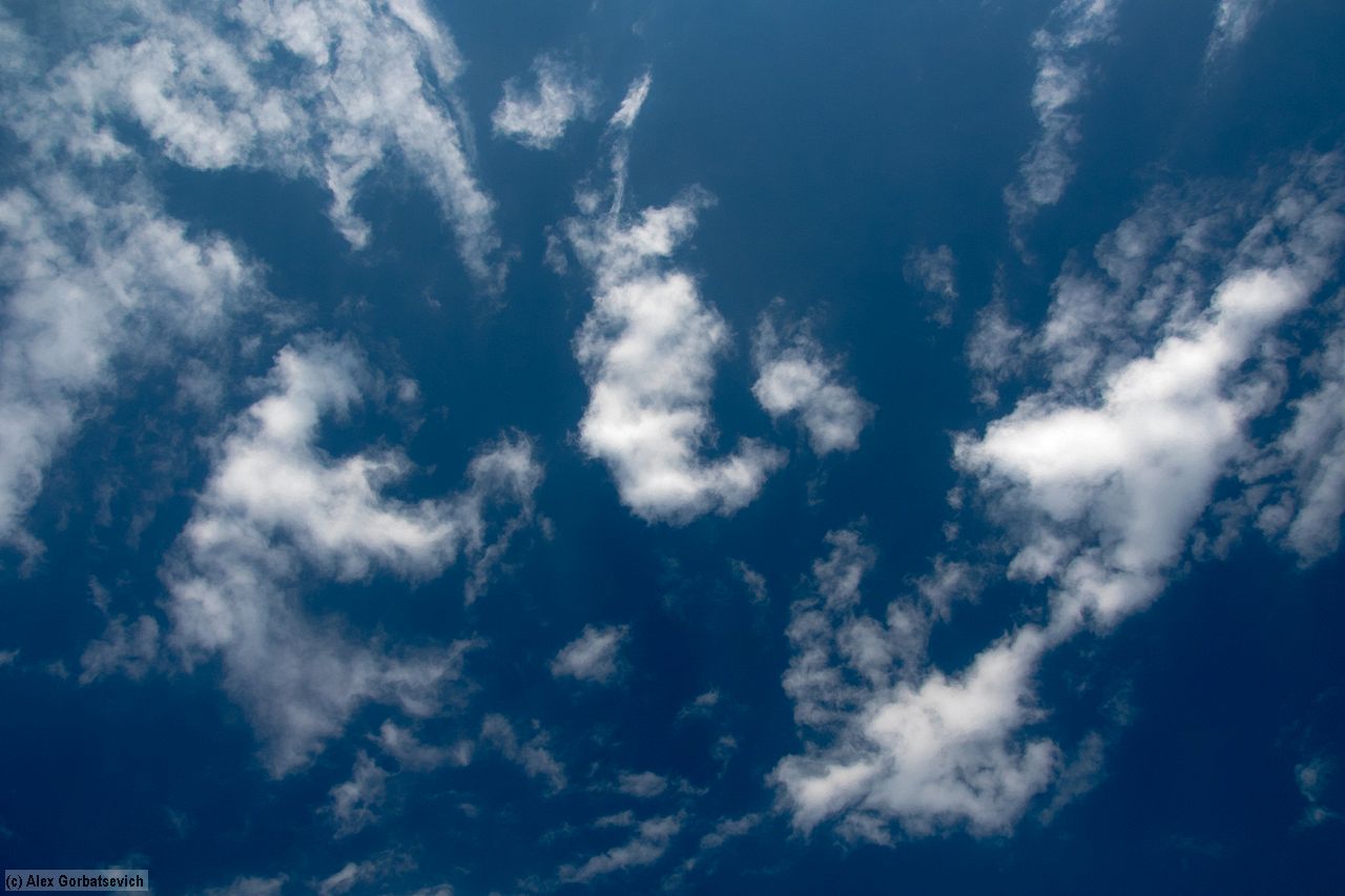 ����� ����