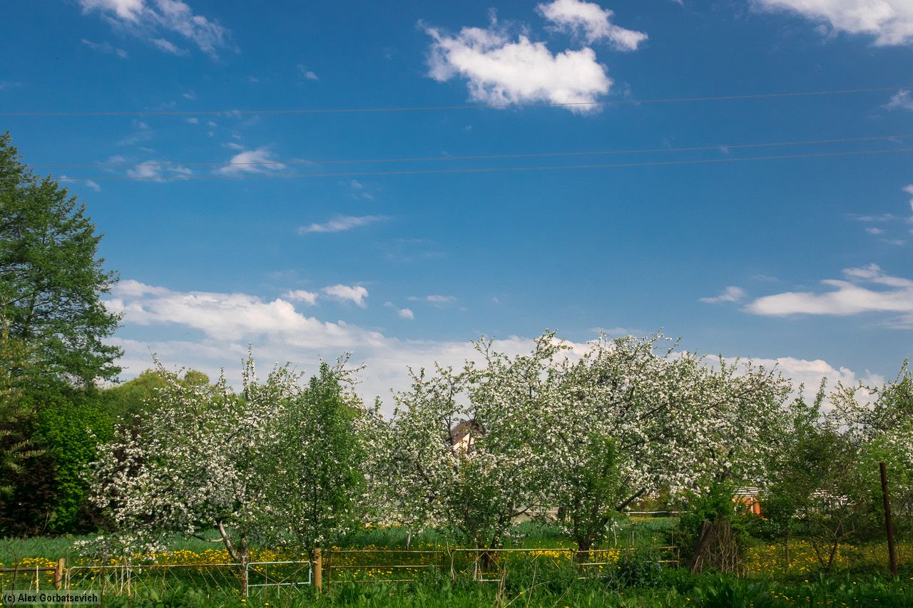 ���� ������