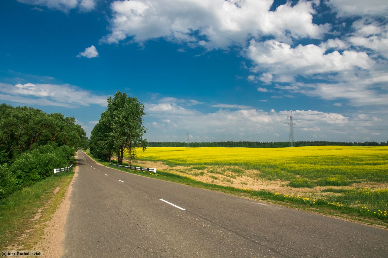 �������� ����