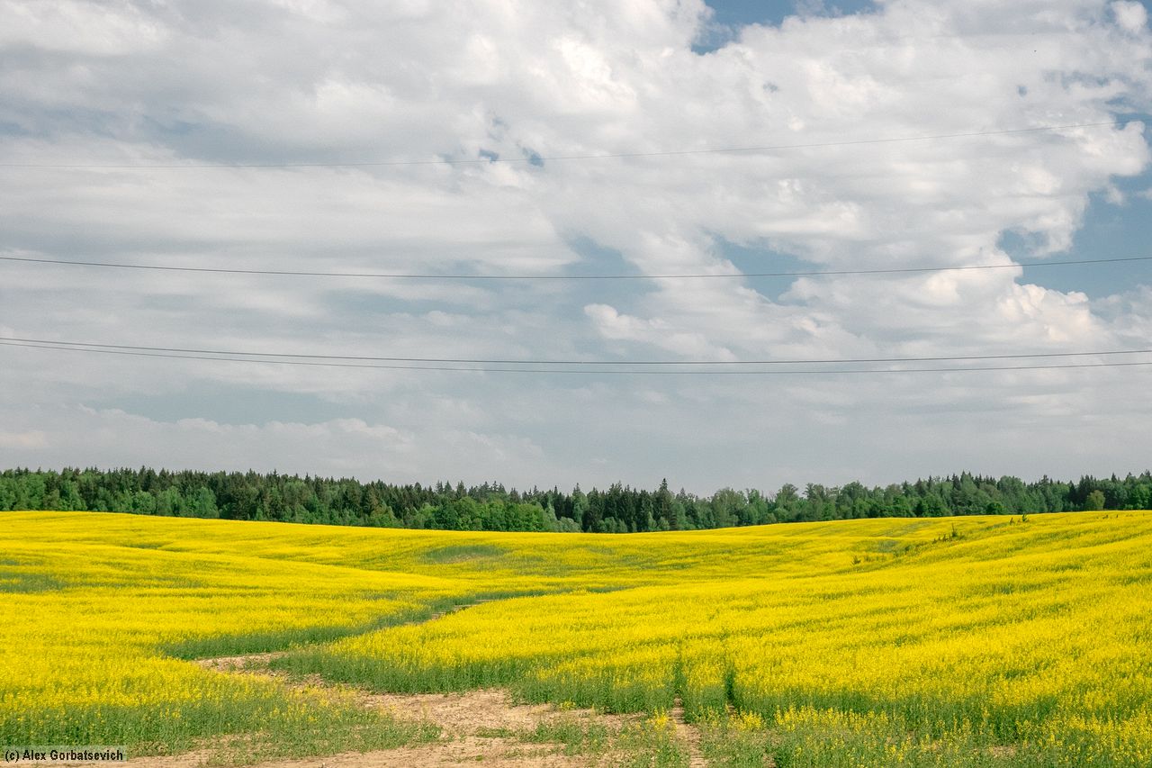 ���� � �������� ����