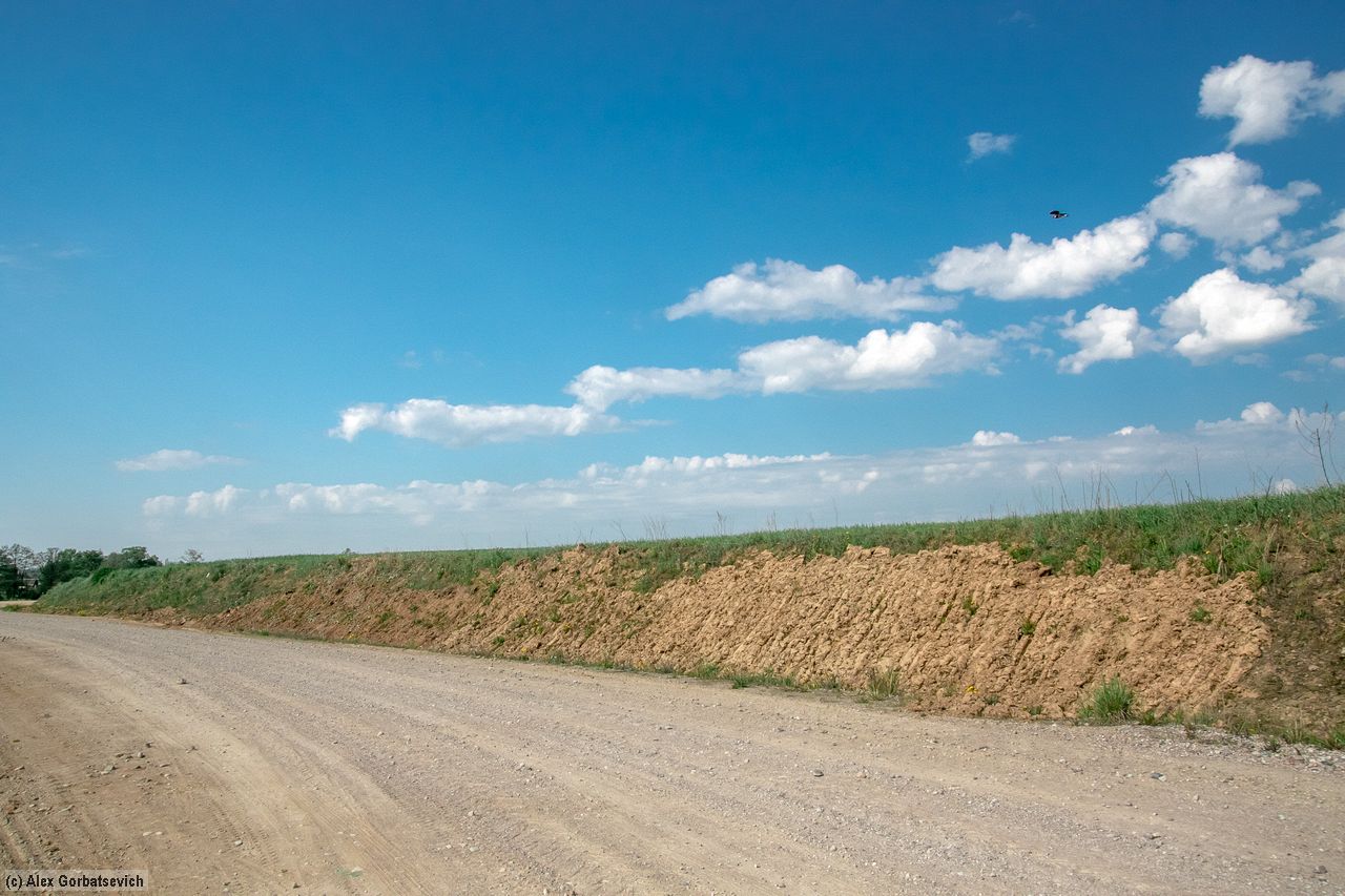 ����� ������