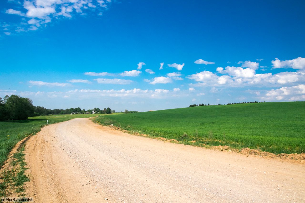 ����� ����