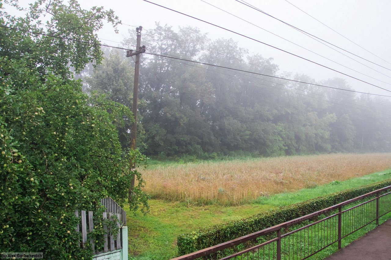 �������� ����