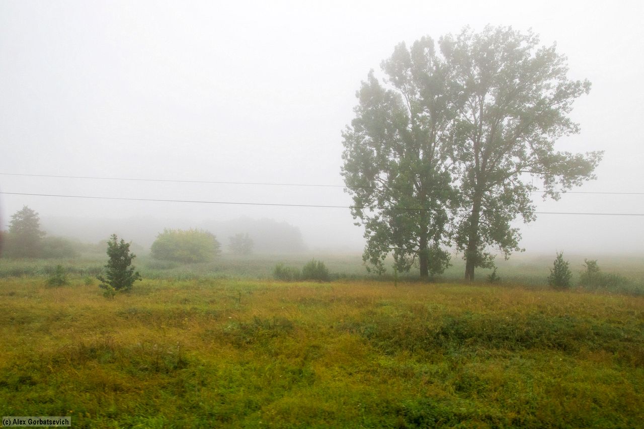 �������� ����