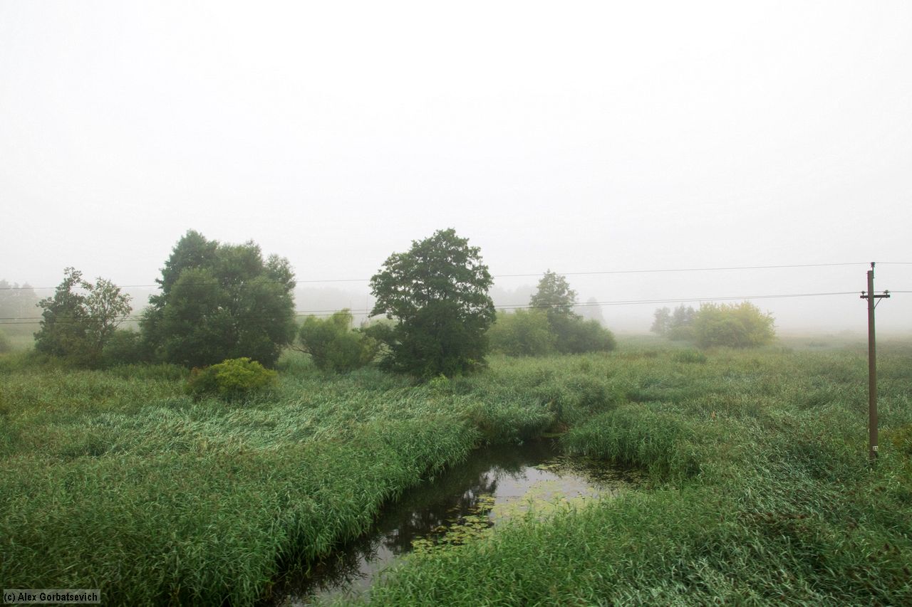 �������� ����