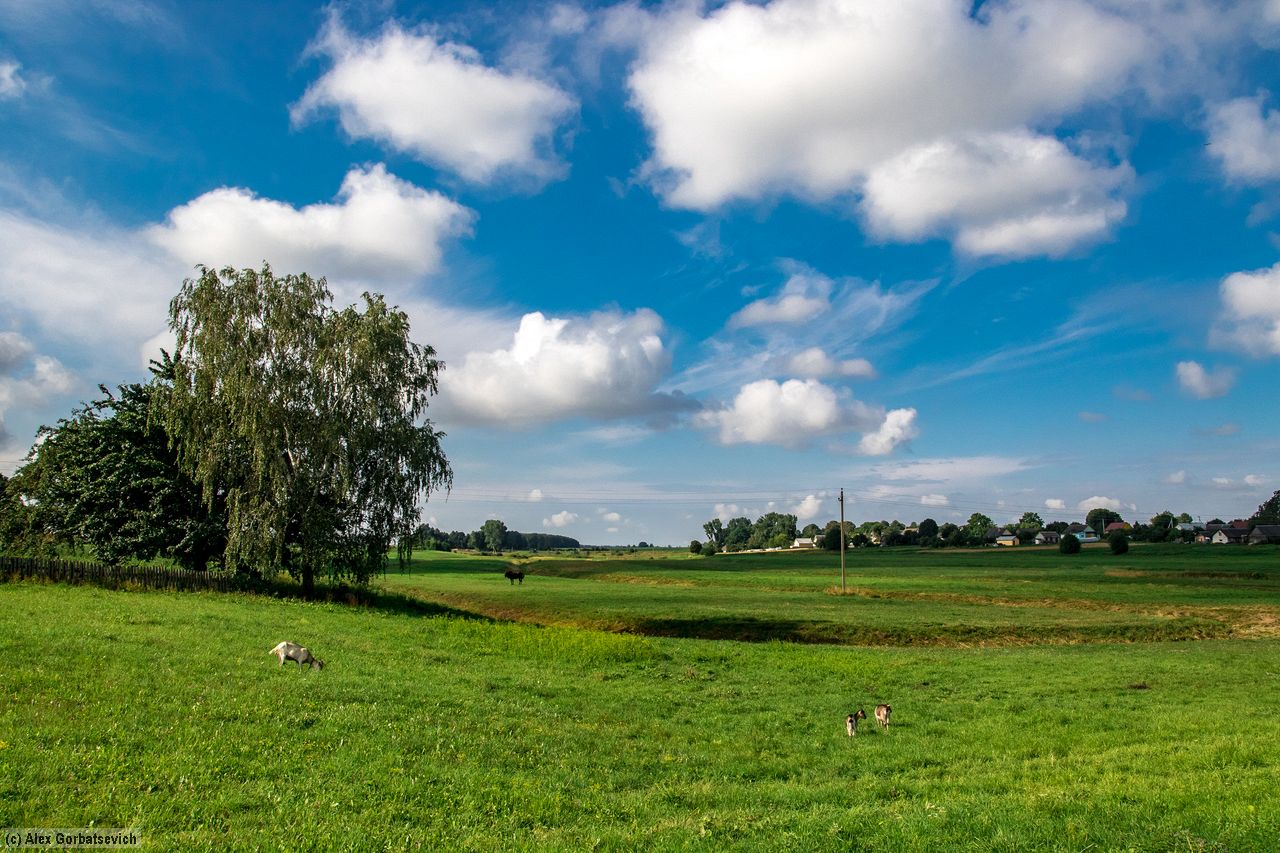 �� ������