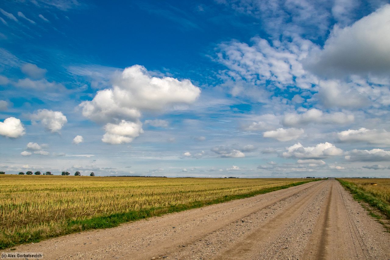 ������ � ��������