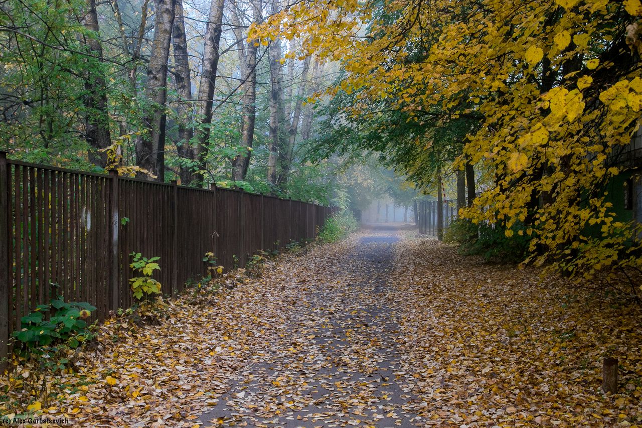 ������ �������