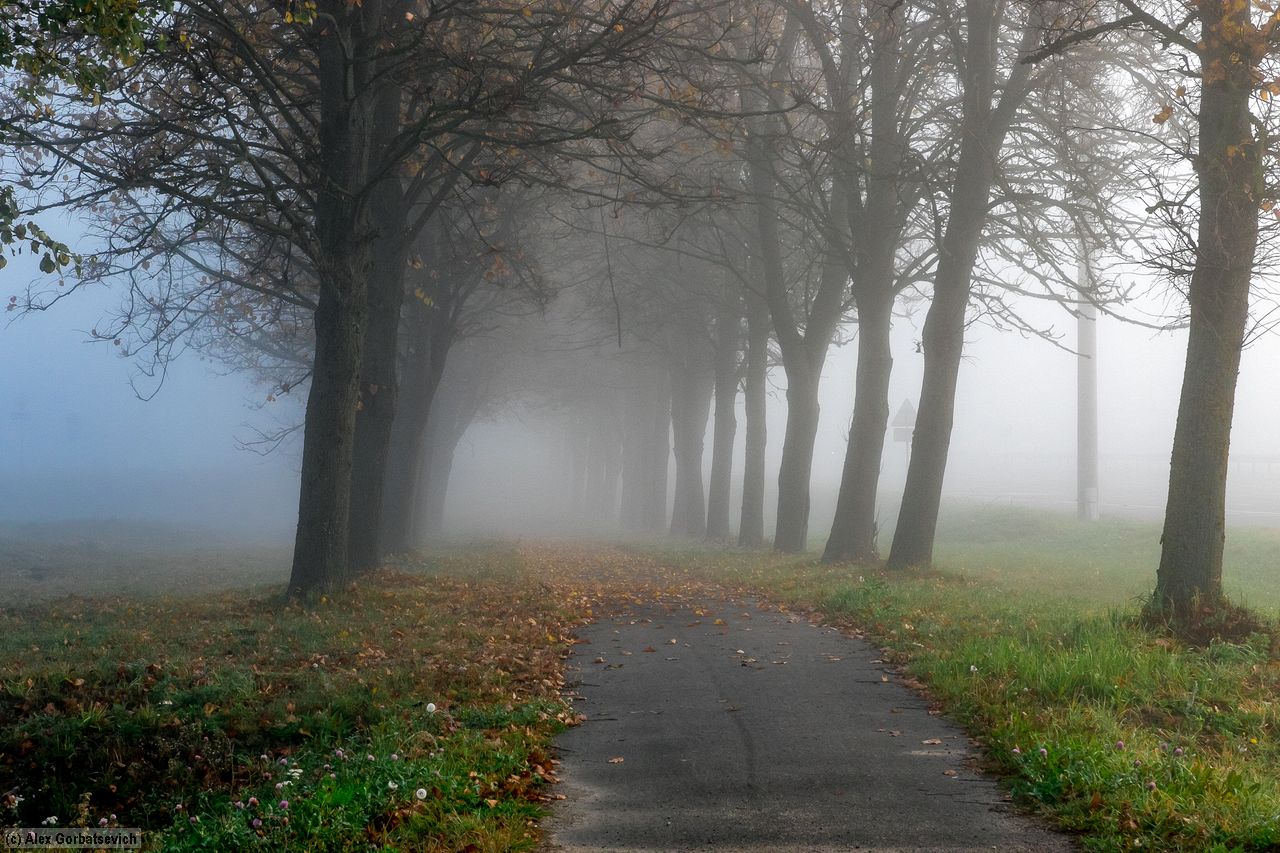 �������� �����