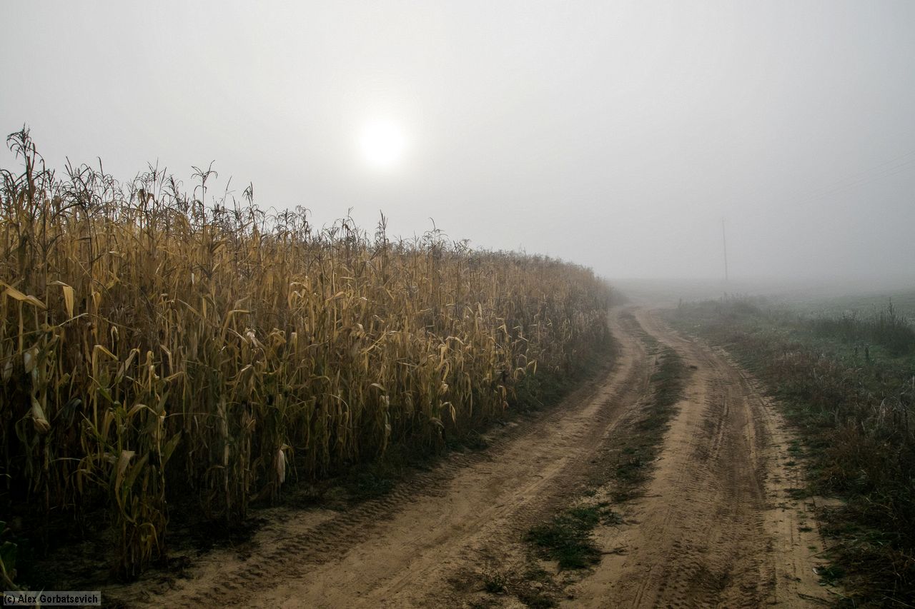 ��������.  � ������