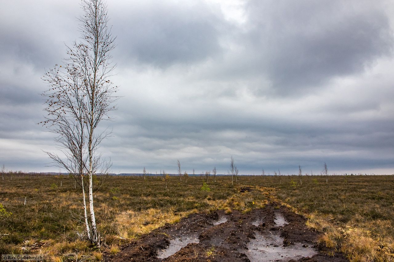 ����� �� ������