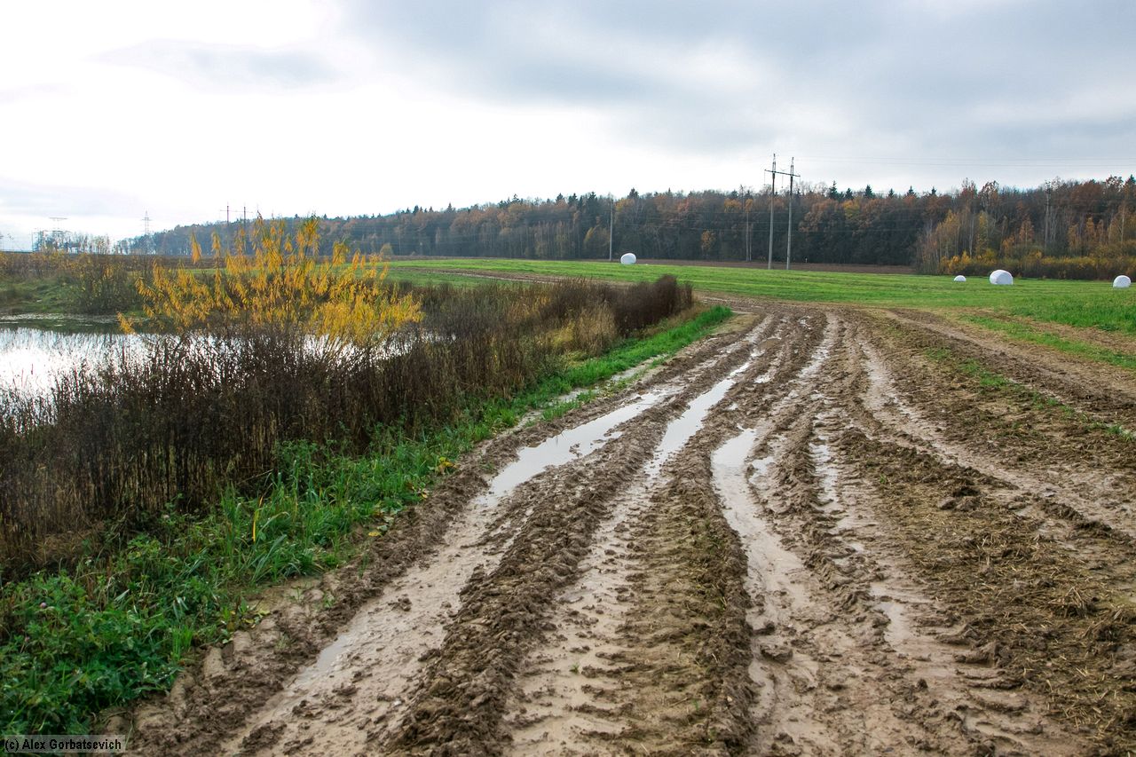 ������� �������