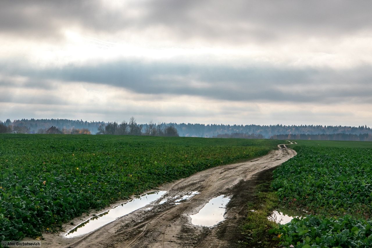 ������� �������