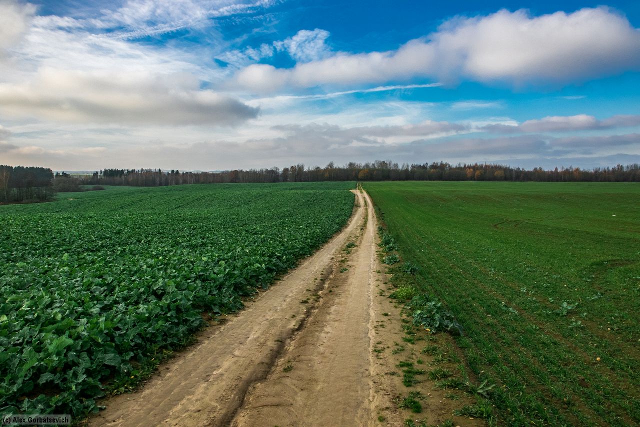 ������� ������