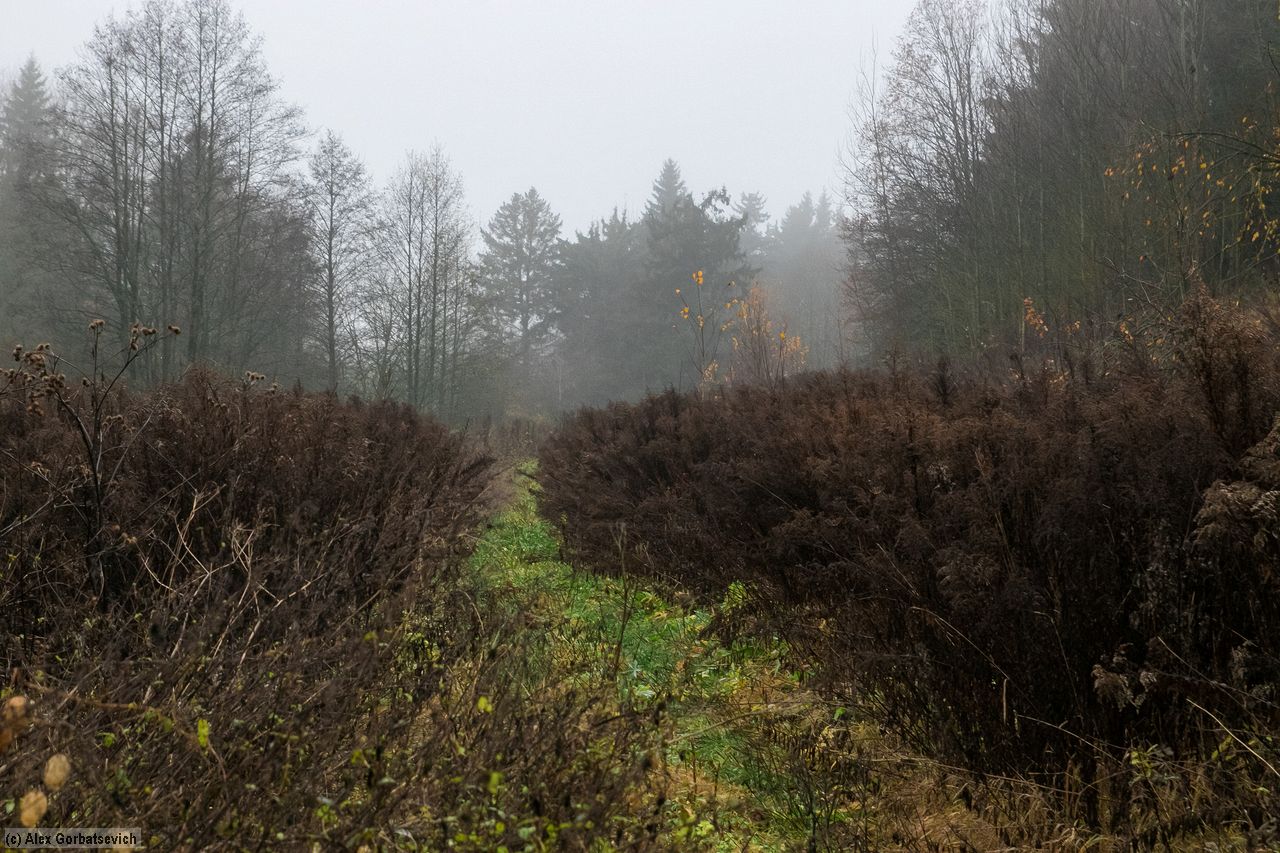 ����� �����