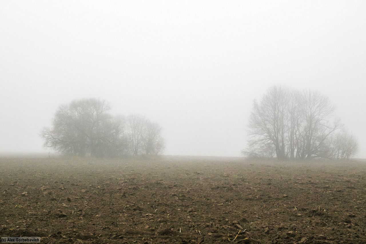 �������� �������