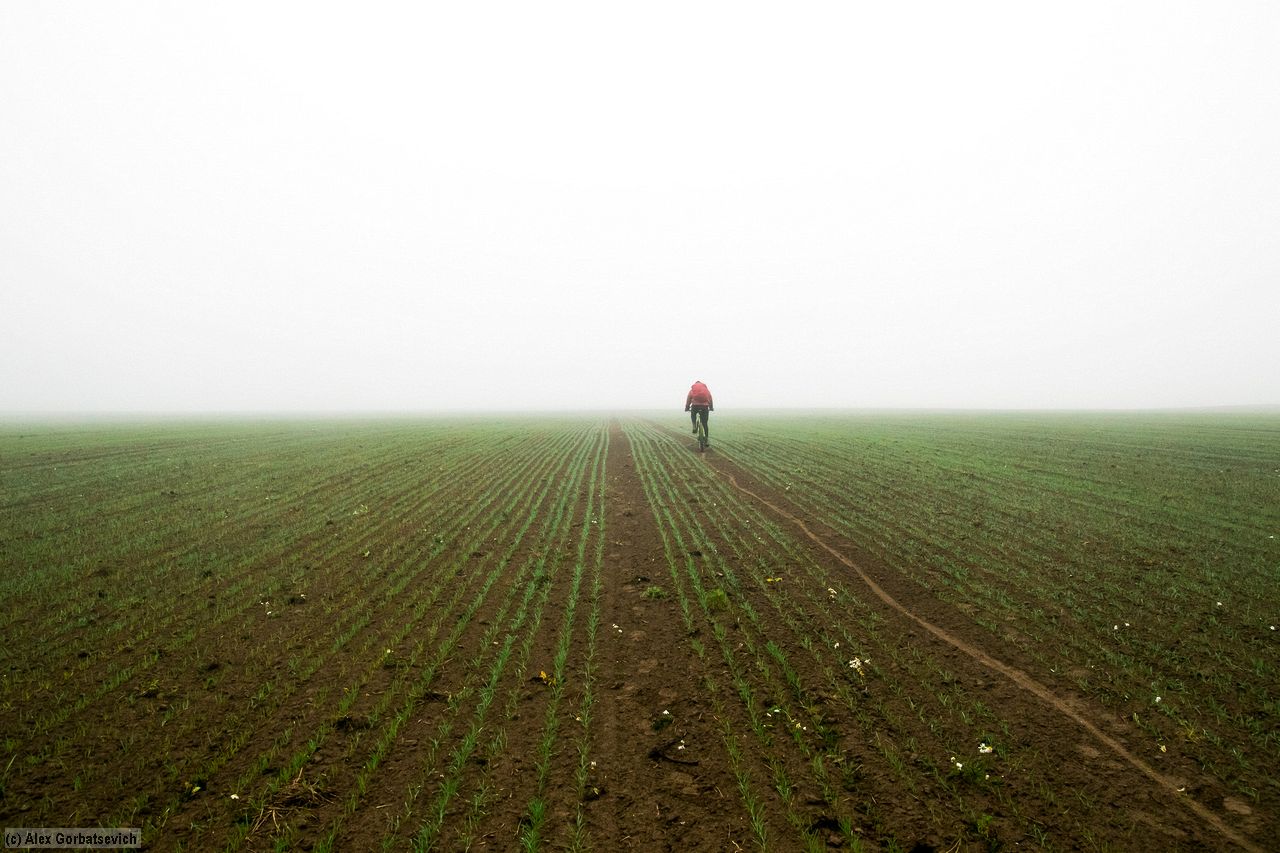 ����� ���������