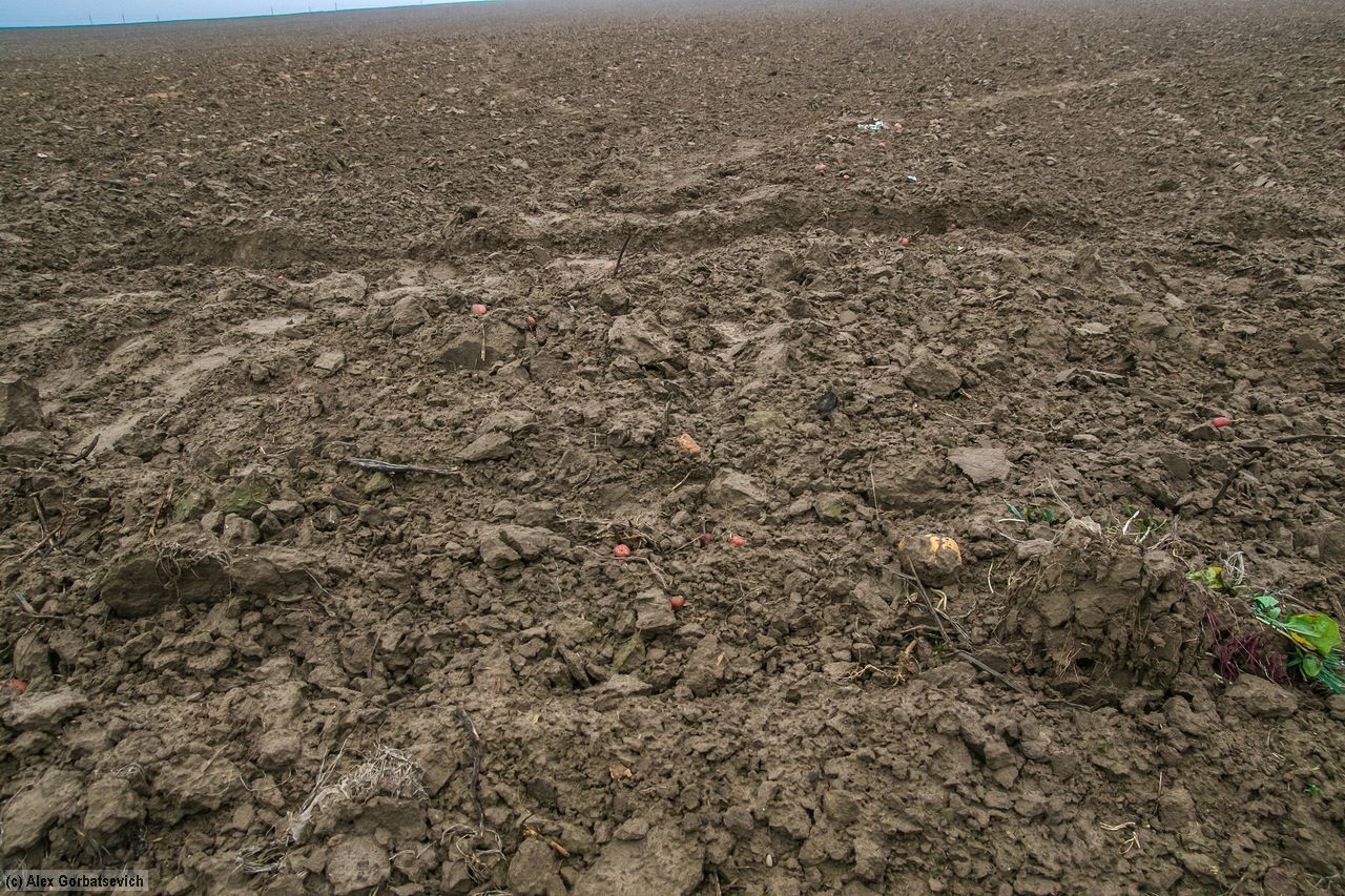 �� ������ ������