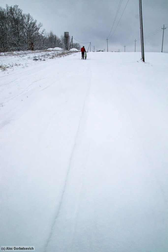 ���� ������