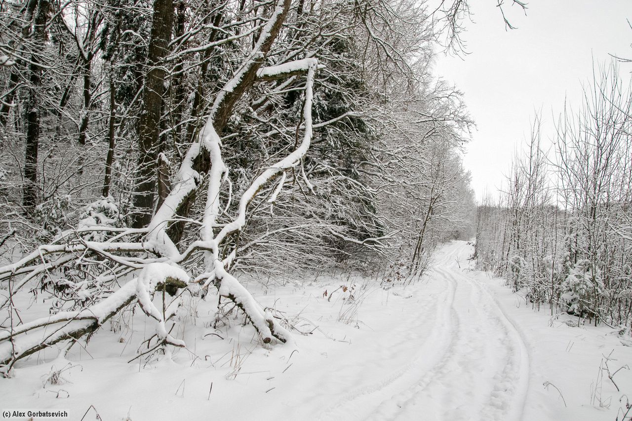 ������ �������