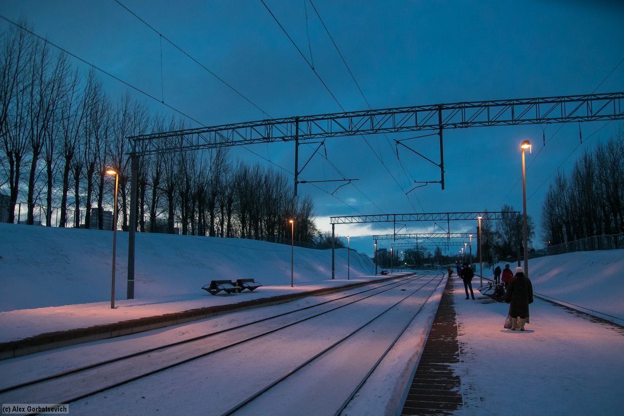 �� ������