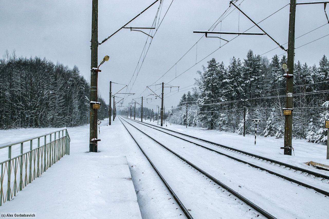 ��. �����