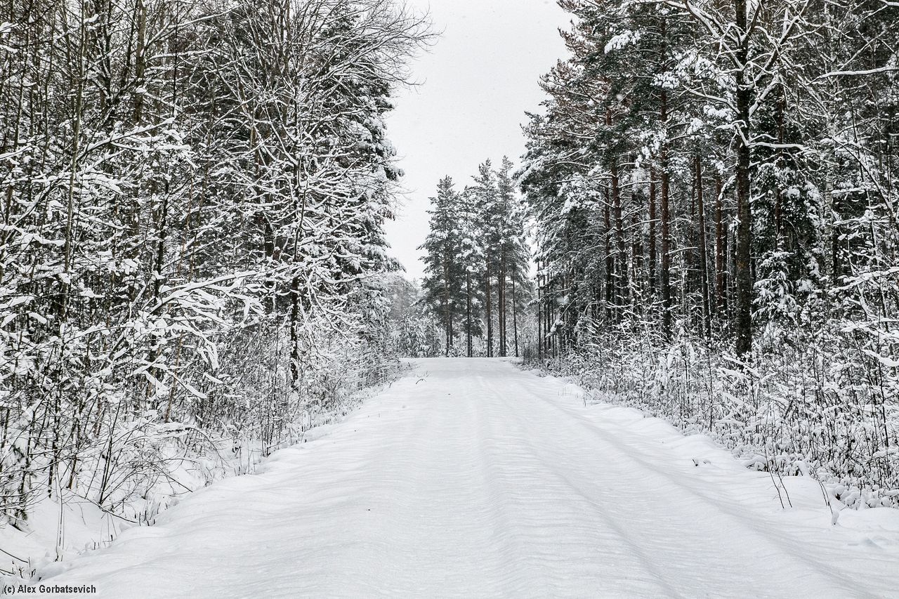 �������� ��������