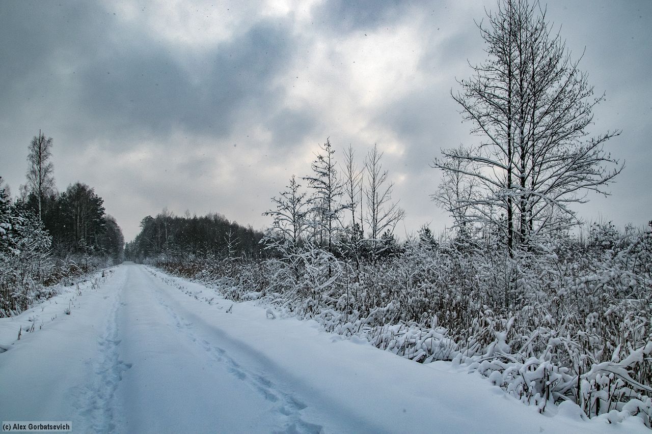 �������� ��������