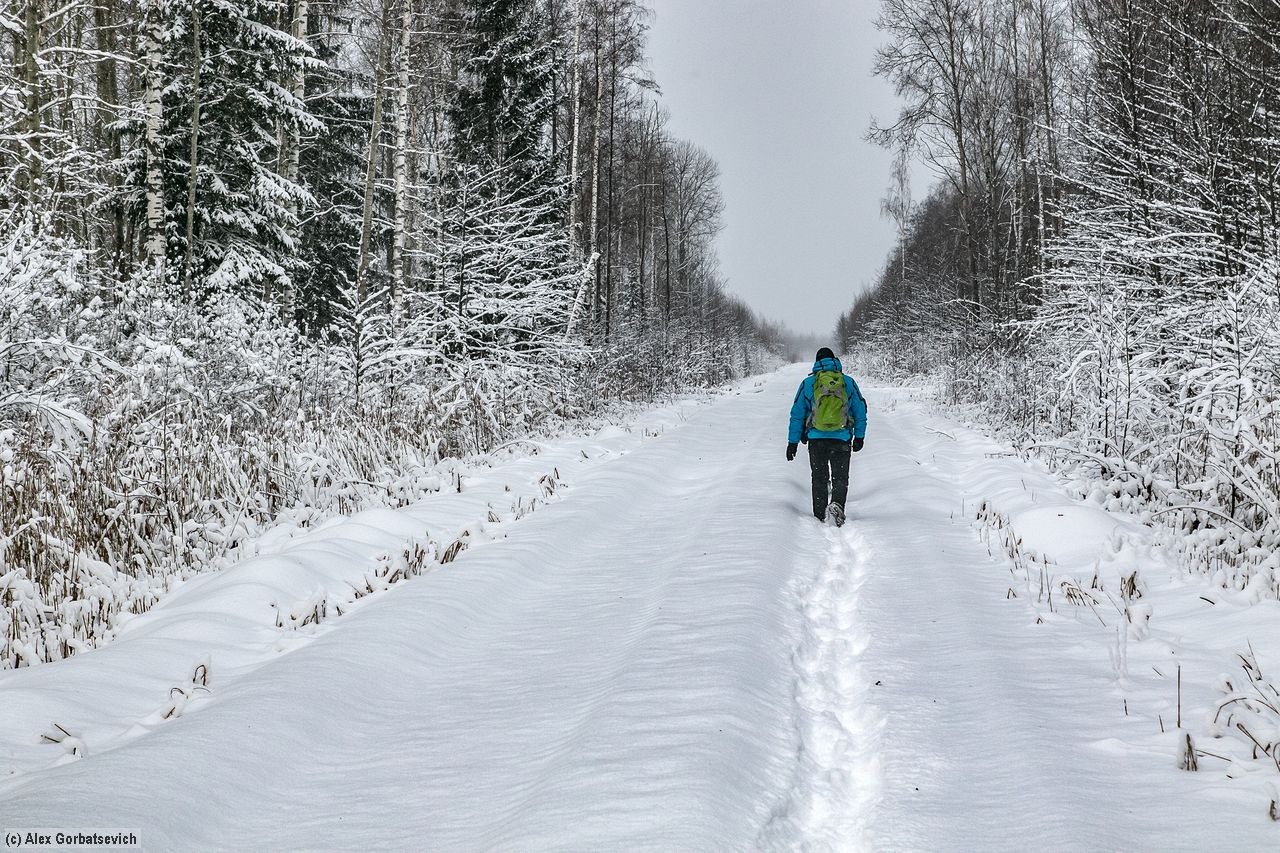 �������� ��������