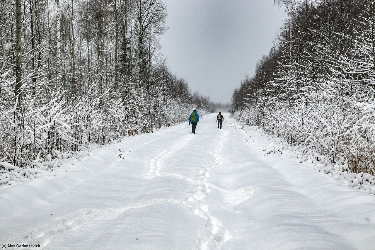 �������� ��������