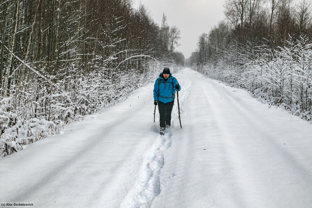 �������� ��������