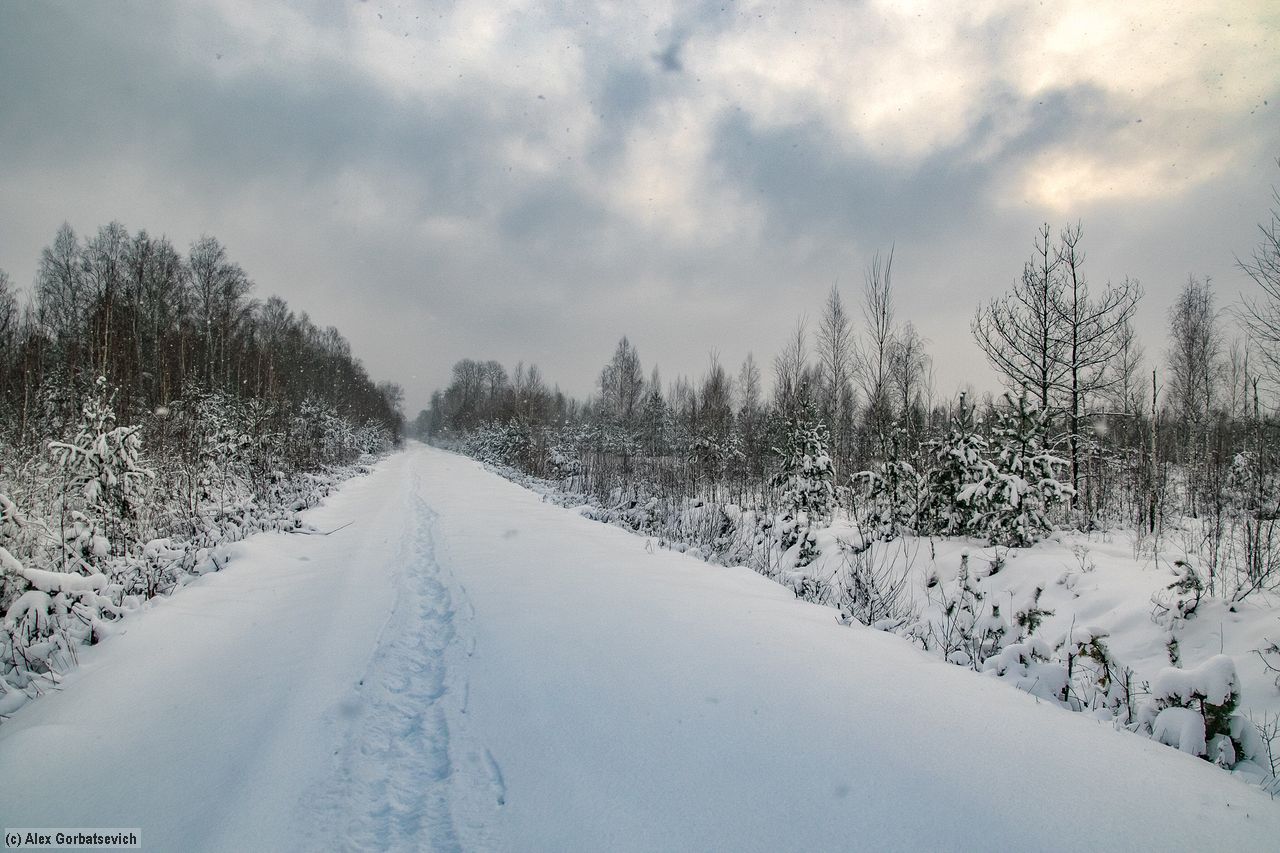 �������� ��������