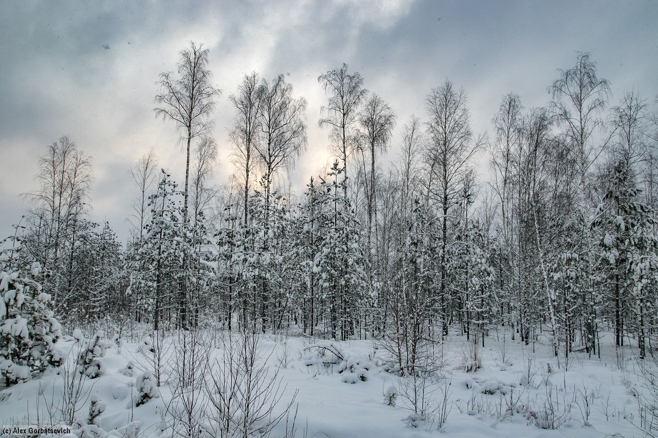 ������� ���