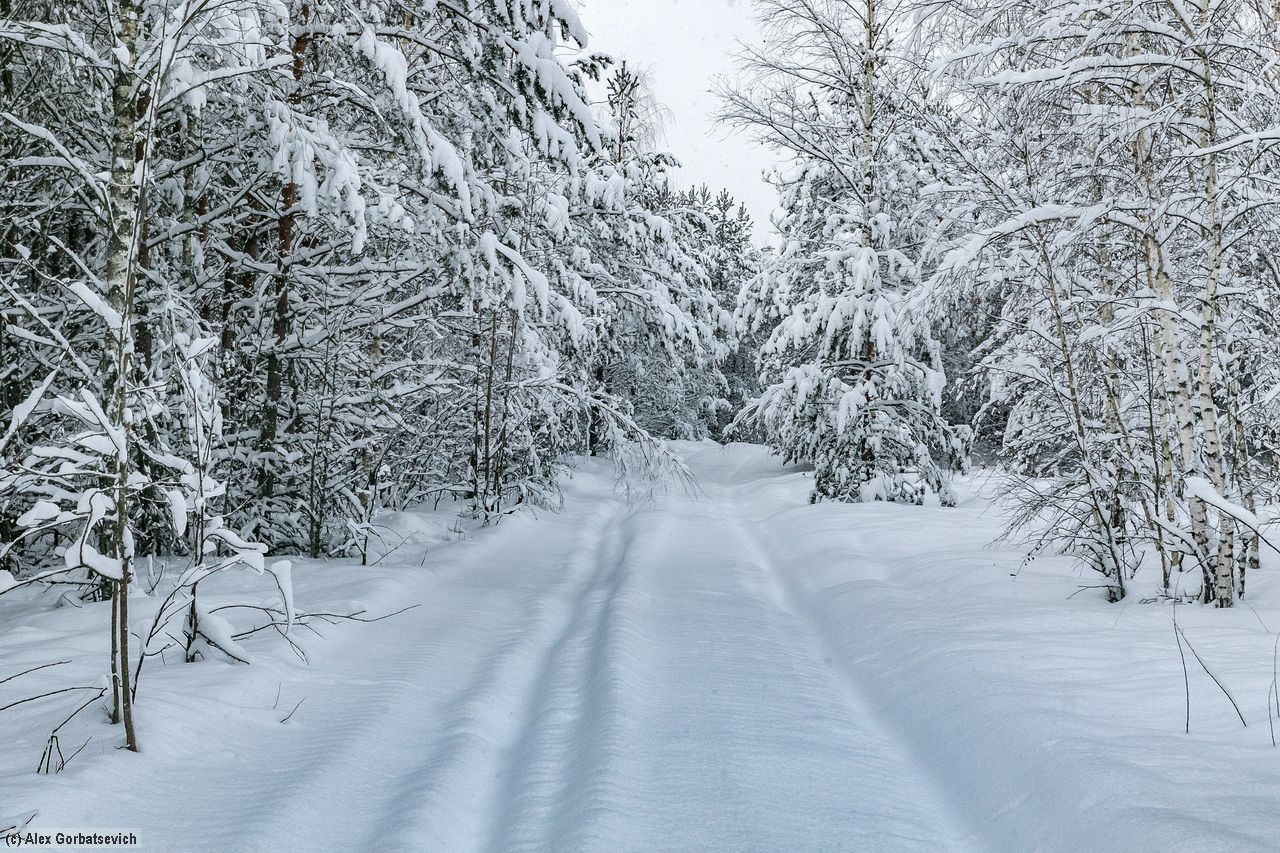 ������� ���