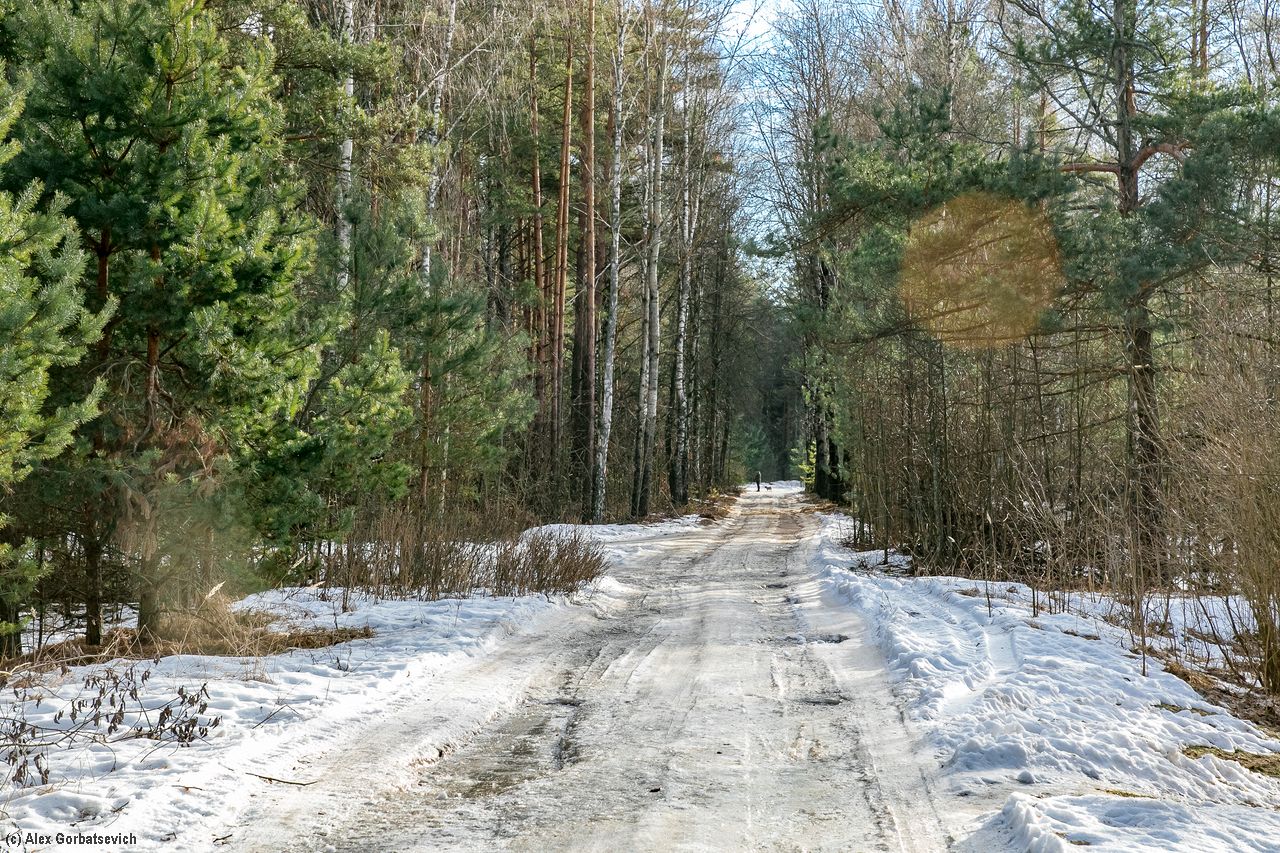 ������ ������