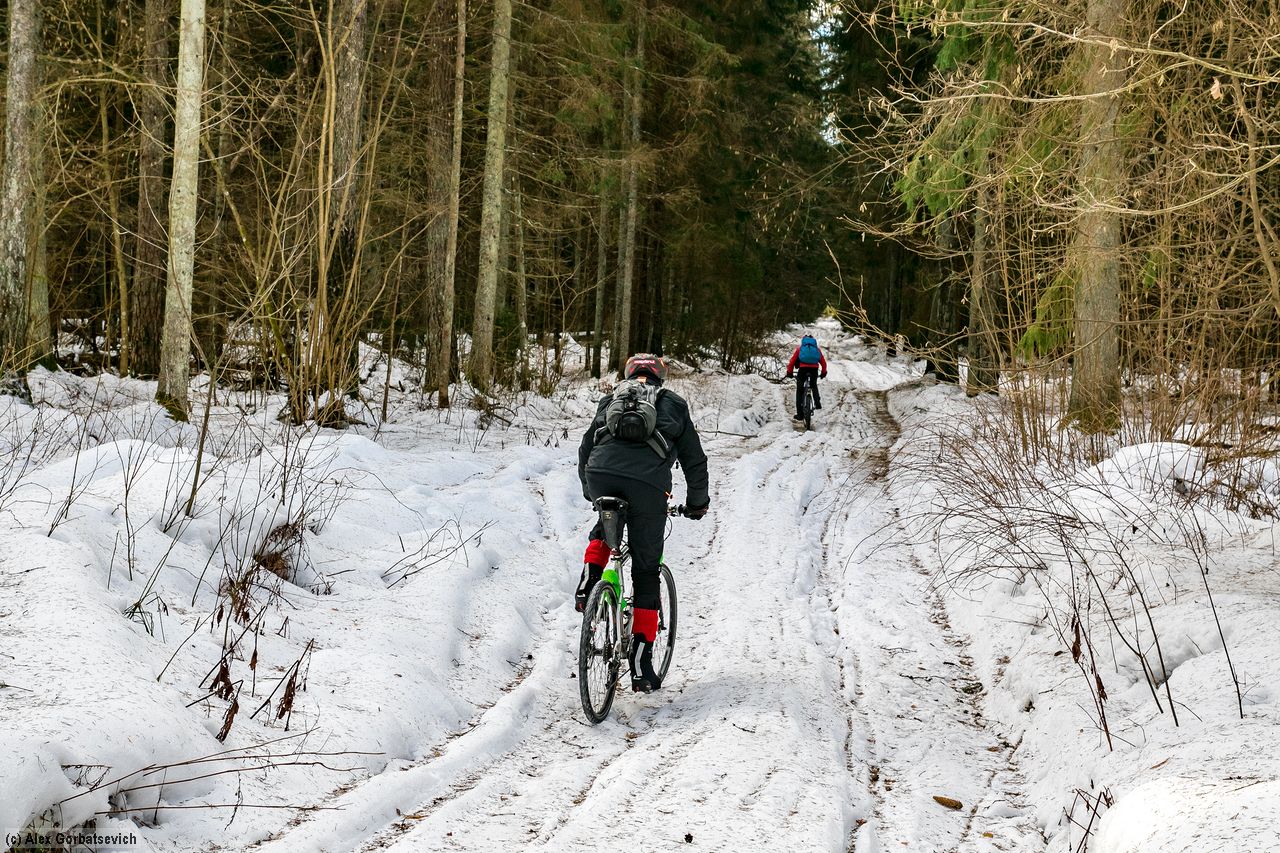 ������ ������