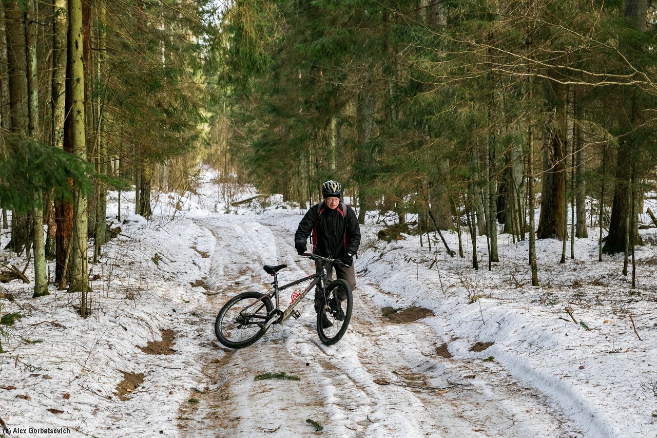 �������� ��������