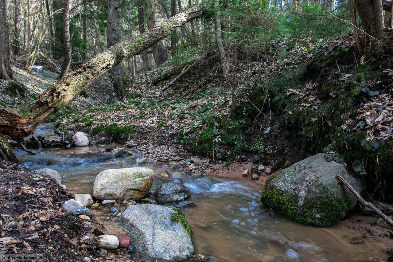 ������ ����