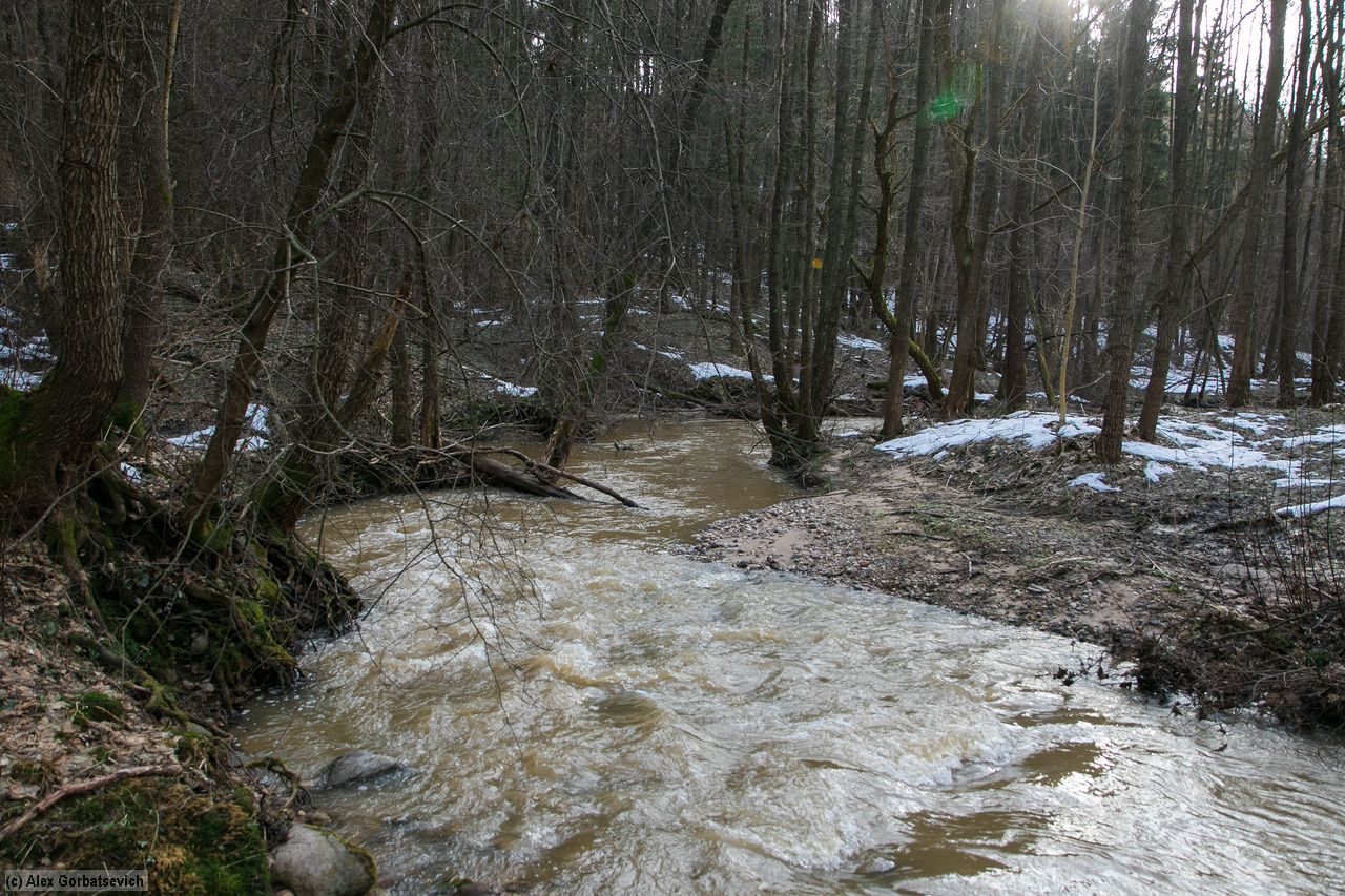 ����������� ����