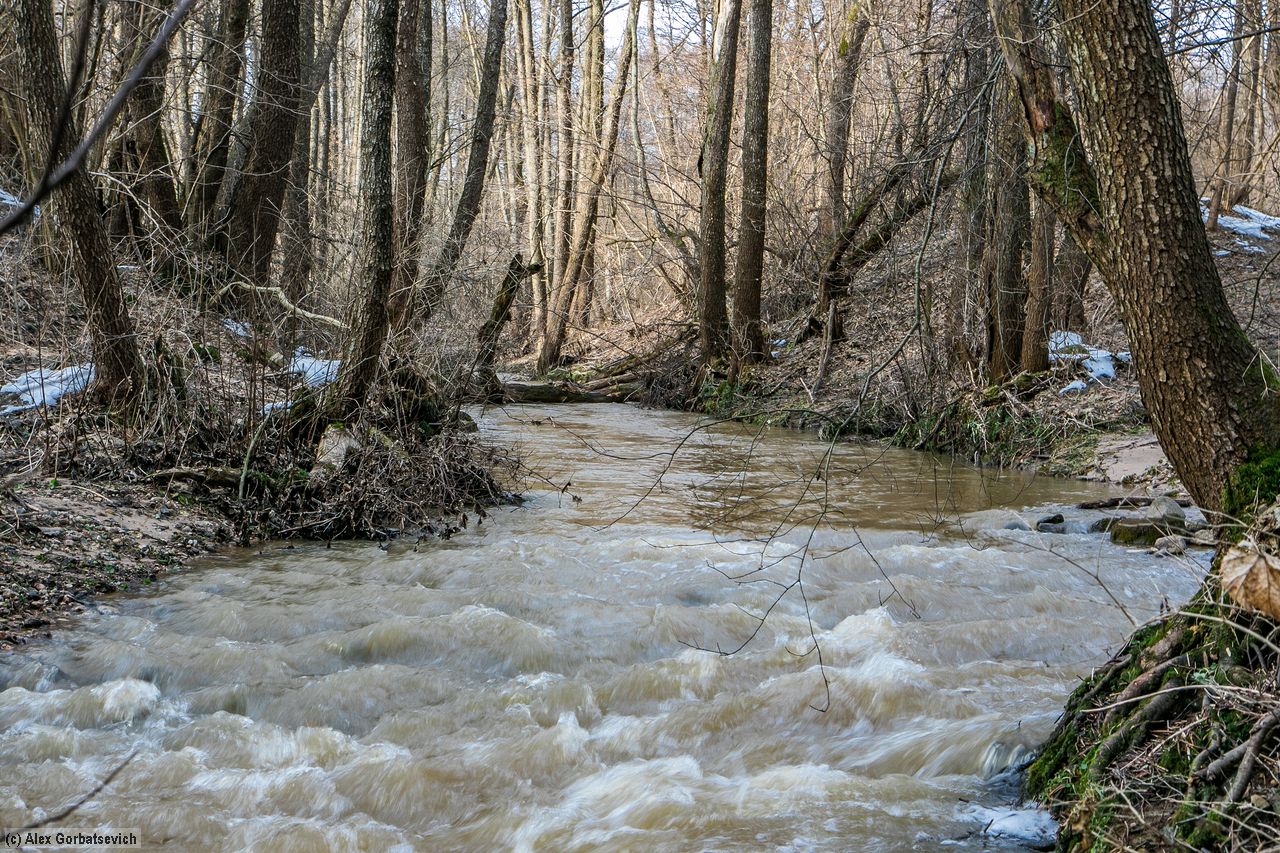 ����������� ����