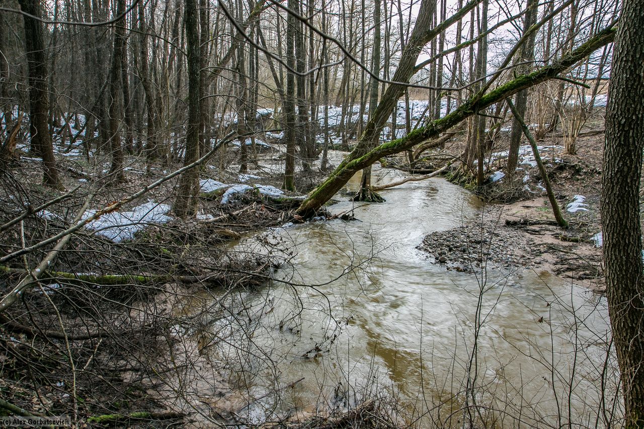 ����������� ����