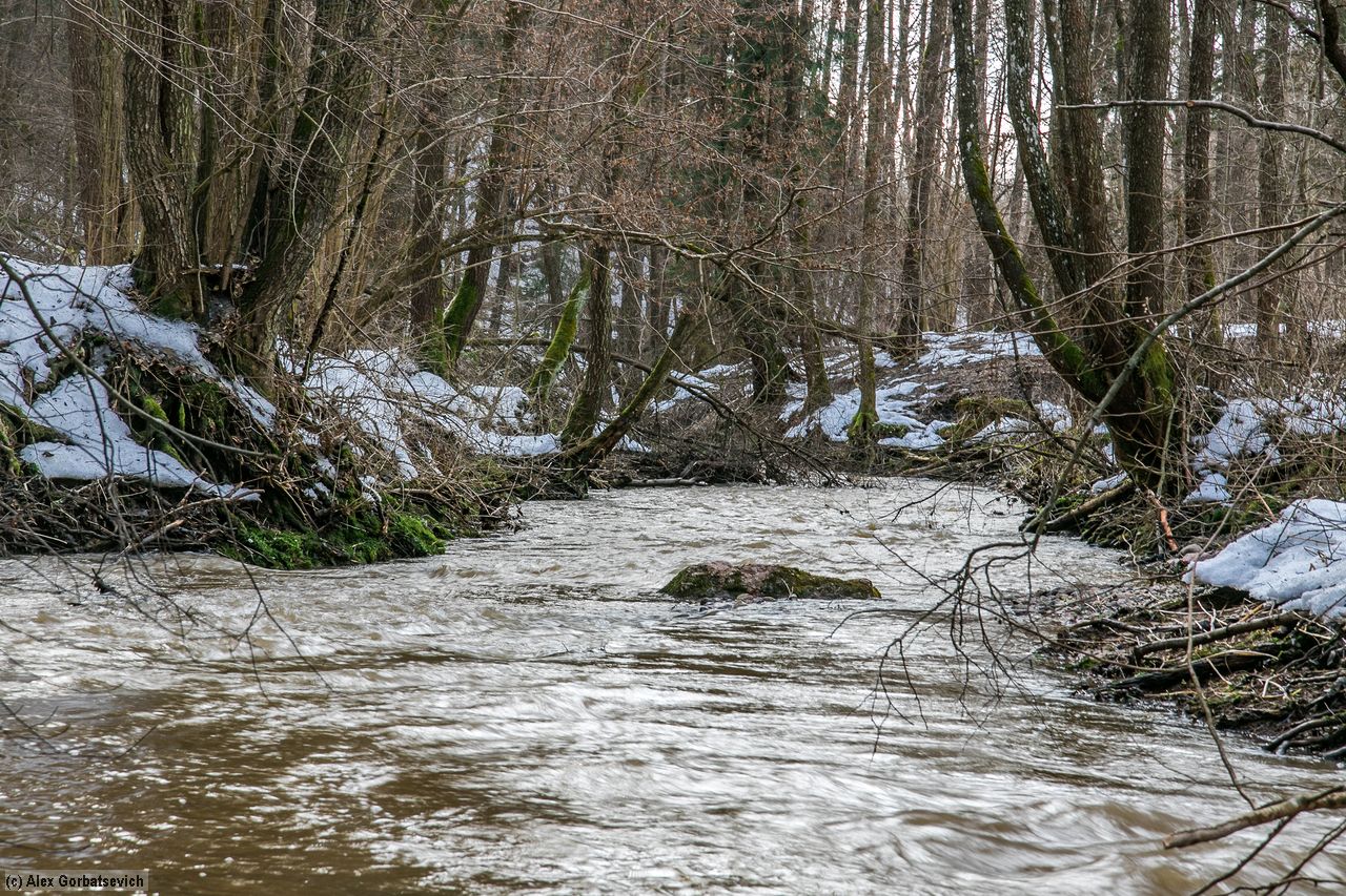 ����������� ����