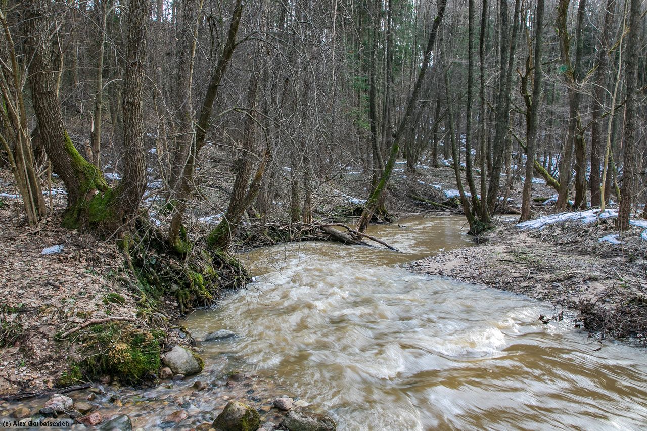 ����������� ����